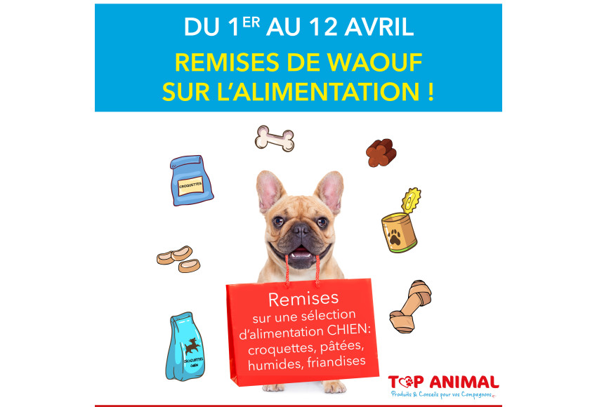 LES JOURNEES WAOUF SONT DE RETOUR !